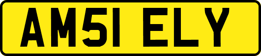 AM51ELY