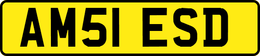 AM51ESD