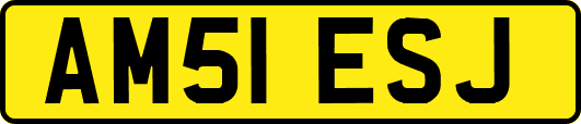 AM51ESJ