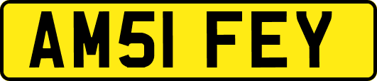 AM51FEY