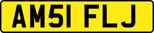 AM51FLJ