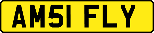 AM51FLY