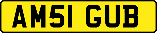 AM51GUB