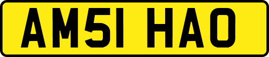 AM51HAO