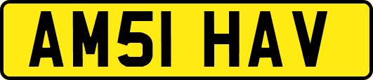 AM51HAV