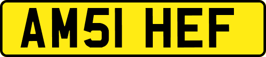 AM51HEF