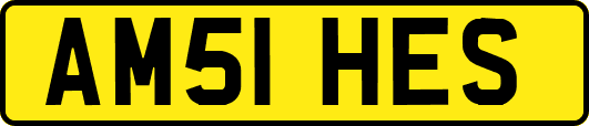 AM51HES