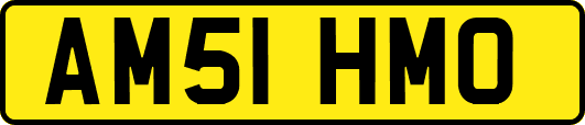 AM51HMO