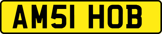 AM51HOB