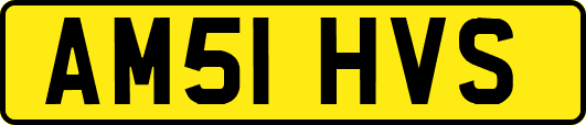 AM51HVS
