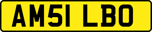 AM51LBO