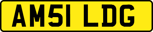 AM51LDG