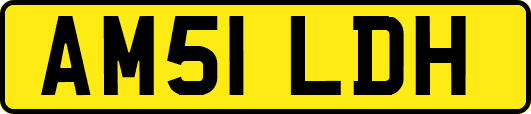 AM51LDH