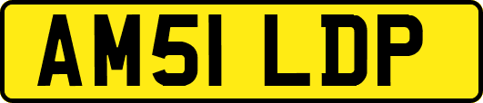 AM51LDP