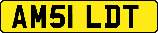 AM51LDT