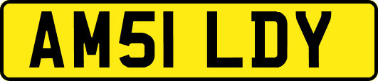 AM51LDY