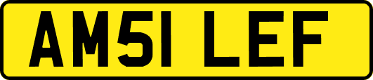 AM51LEF