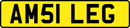 AM51LEG