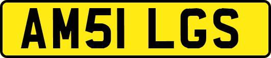 AM51LGS