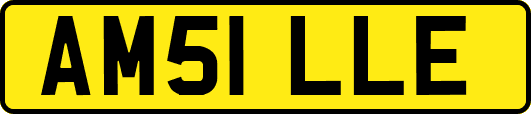 AM51LLE