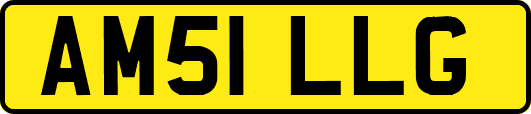 AM51LLG