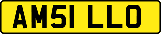 AM51LLO