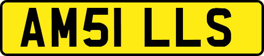 AM51LLS