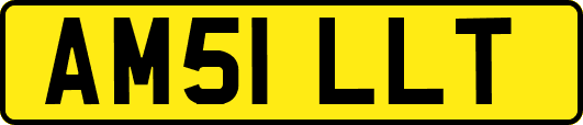 AM51LLT