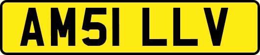 AM51LLV