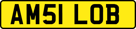 AM51LOB