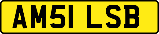 AM51LSB