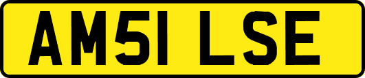 AM51LSE