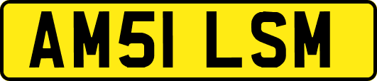 AM51LSM