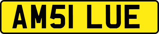 AM51LUE