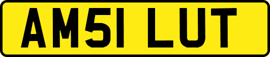 AM51LUT