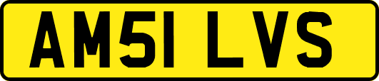 AM51LVS