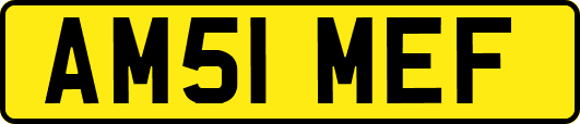 AM51MEF