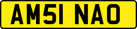 AM51NAO