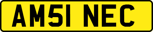 AM51NEC