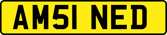 AM51NED