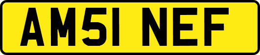 AM51NEF