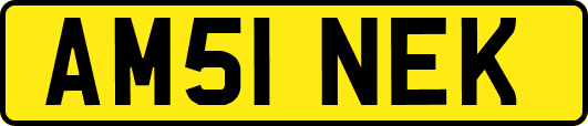 AM51NEK