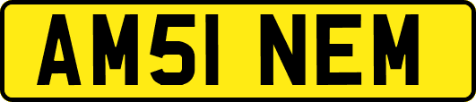 AM51NEM