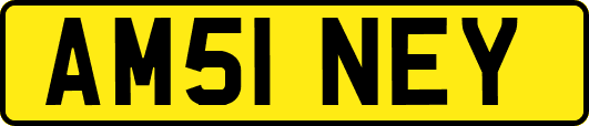 AM51NEY