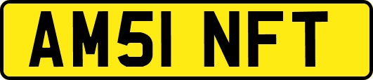 AM51NFT