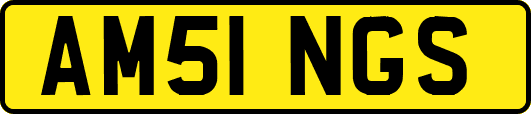 AM51NGS