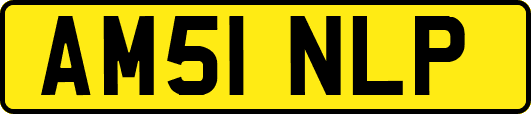 AM51NLP