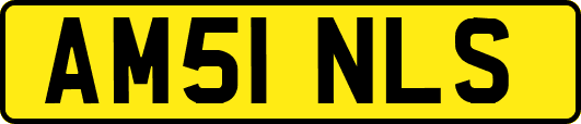 AM51NLS