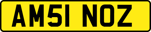 AM51NOZ