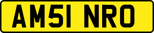 AM51NRO